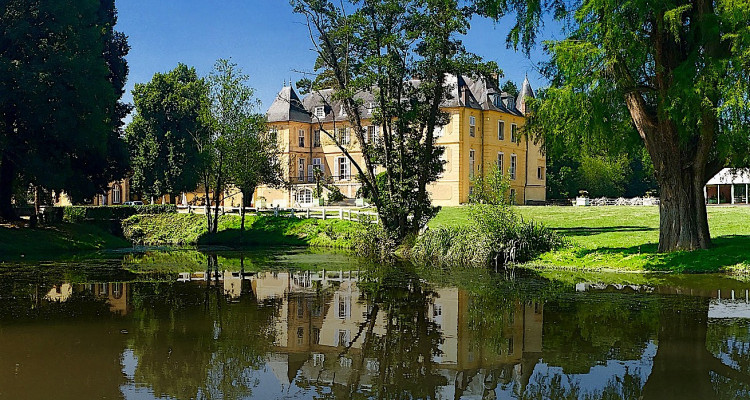 Le Château de Vaugrigneuse vue de son étang prêt à accueillir votre séminaire au vert