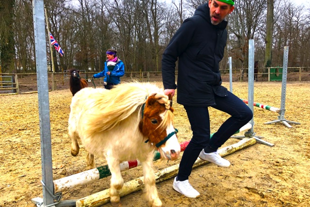 Animation Les Equi games