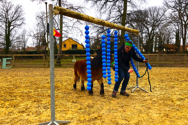 Château de Vaugrigneuse - Animations, Activités, Team-Building Equi Games