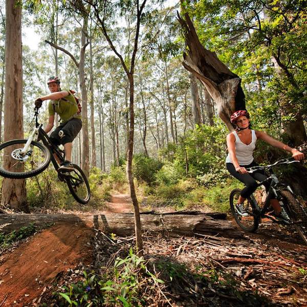 Activités : parcours vélo cross