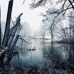 Château de Vaugrigneuse