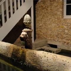 La fontaine au lion devant l’Orangerie..