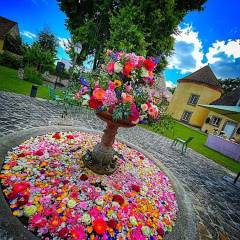 Château de Vaugrigneuse