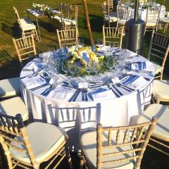 Château de Vaugrigneuse