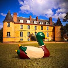 Château de Vaugrigneuse