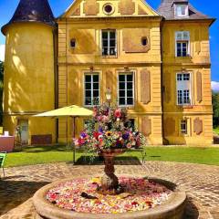 Château de Vaugrigneuse