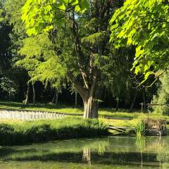 Château de Vaugrigneuse