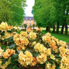 Château de Vaugrigneuse