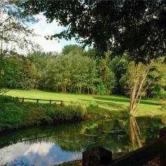 Les berges de l’étang vues du pont de la Prédecelle.
