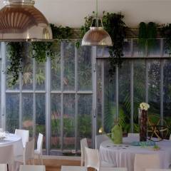 L’Orangerie et son décor de serre tropicale.