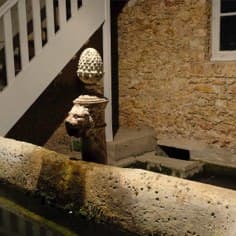 La fontaine au lion devant l’Orangerie..