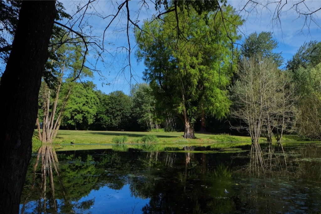 Château de Vaugrigneuse : L’étang du château - location pour évènements, séminaires ou réceptions.