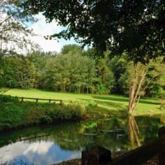Les berges de l’étang vues du pont de la Prédecelle.