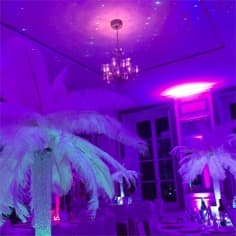 Le grand salon ambiance années 30