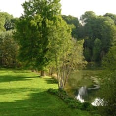 L’étang et ses berges accueillent vos réceptions en extérieur.
