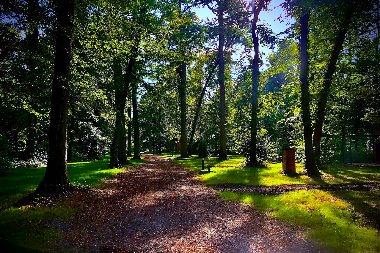 Château de Vaugrigneuse, Hôtel Les Lodges, lieu de séminaire et évènement avec hébergement